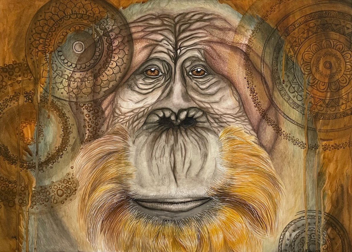 Orangutang