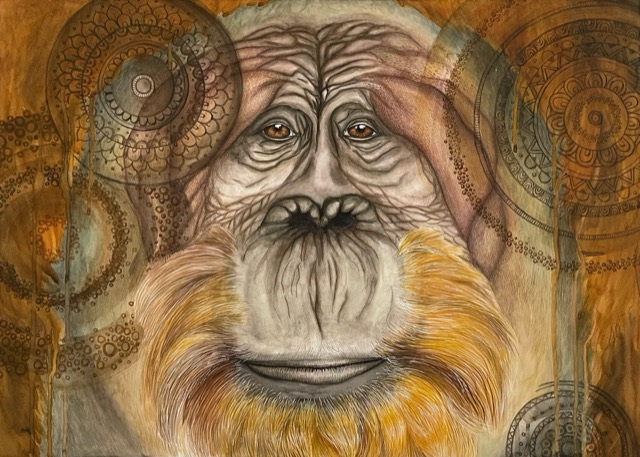 Orangutang